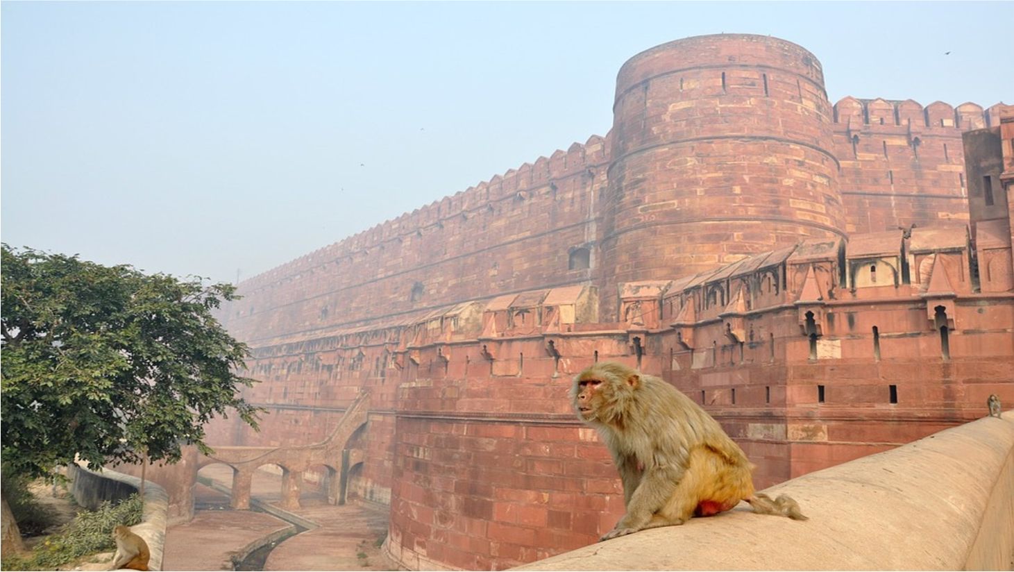 MEHTAB BAGH, TAJ MAHAL AND AGRA FORT INDIA TOUR