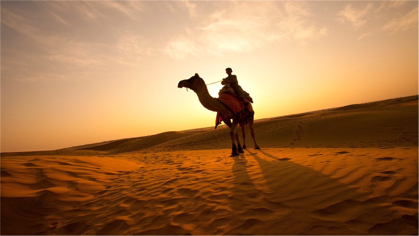 RAJASTHAN VACATION TOUR